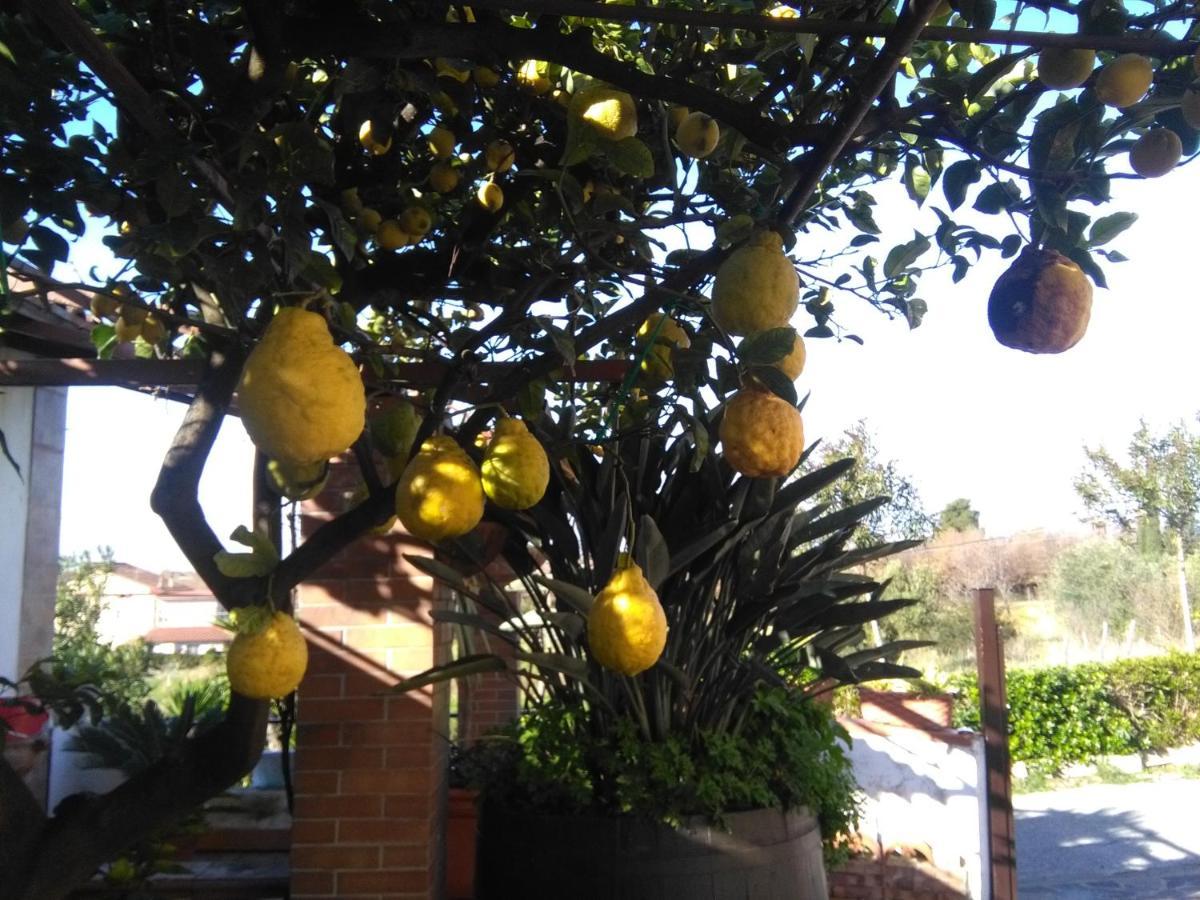 B&B La Porta Del Cilento Capaccio Eksteriør bilde