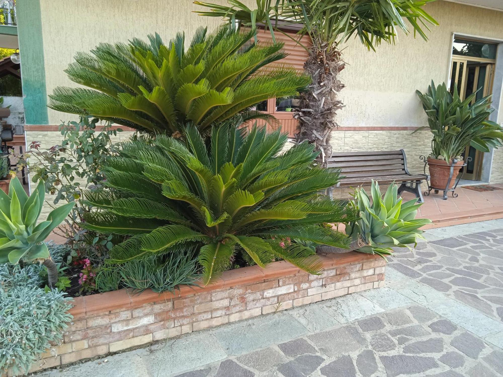 B&B La Porta Del Cilento Capaccio Eksteriør bilde